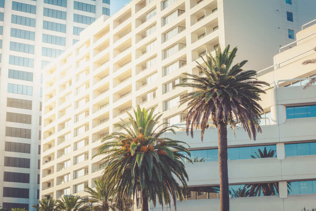 Palm trees in front of massive apartment complex in Los Angeles