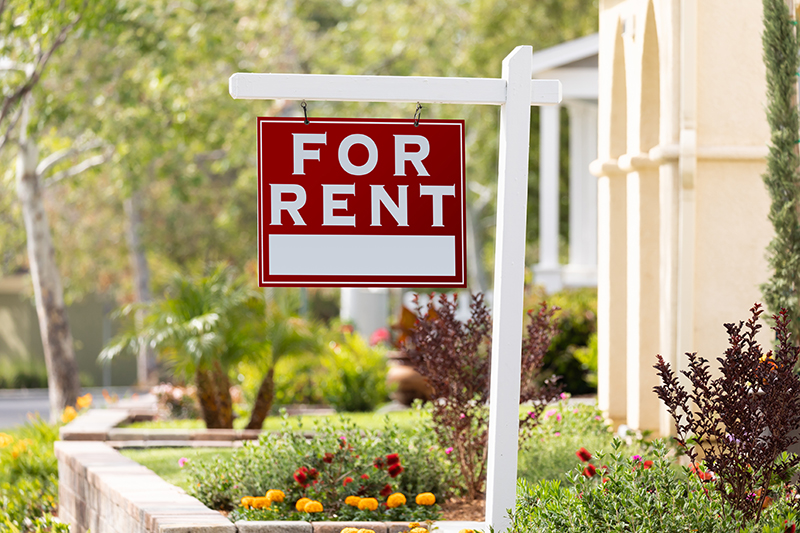 Red For Rent sign in plant covered front lawn