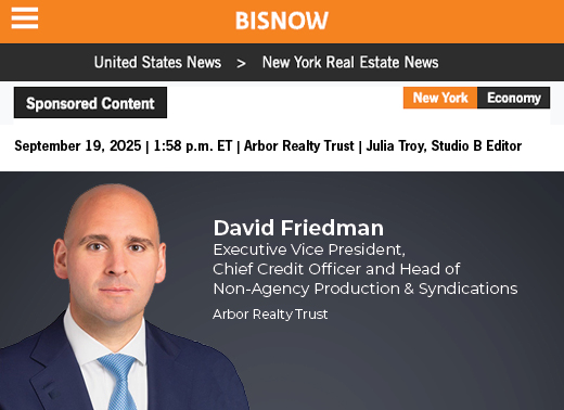 Biznow David Friedman